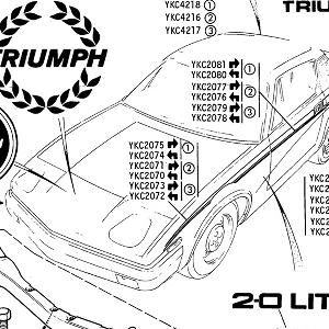 BODY SECTION - Badges, Transfers and Spoiler